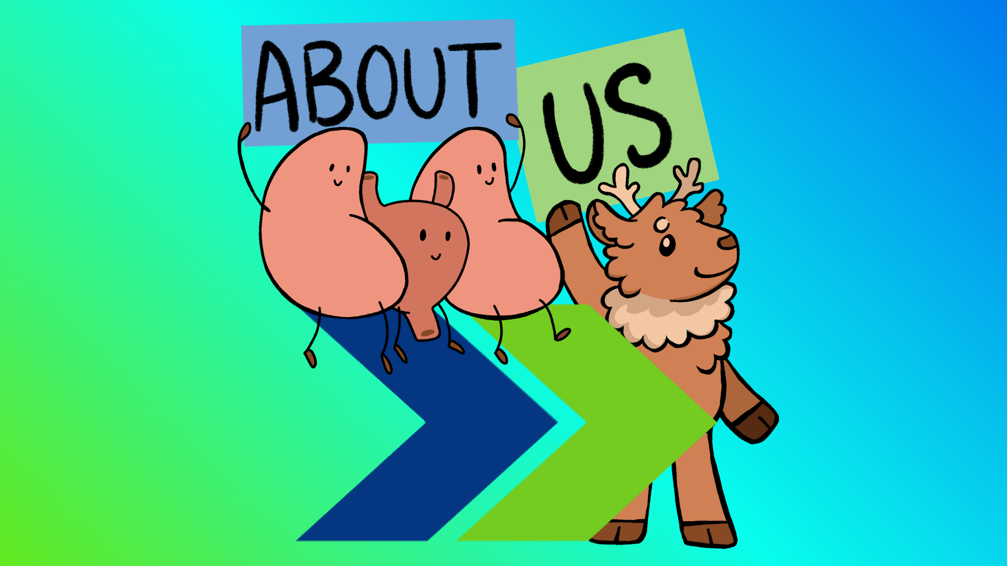 CAIRIBU mascot Lou along with the kidneys and bladder holding a signs saying About Us