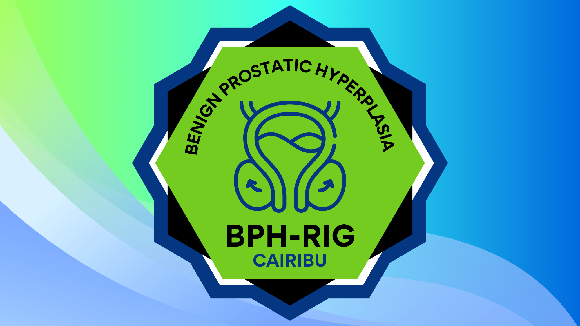 BPH research interest group resource logo