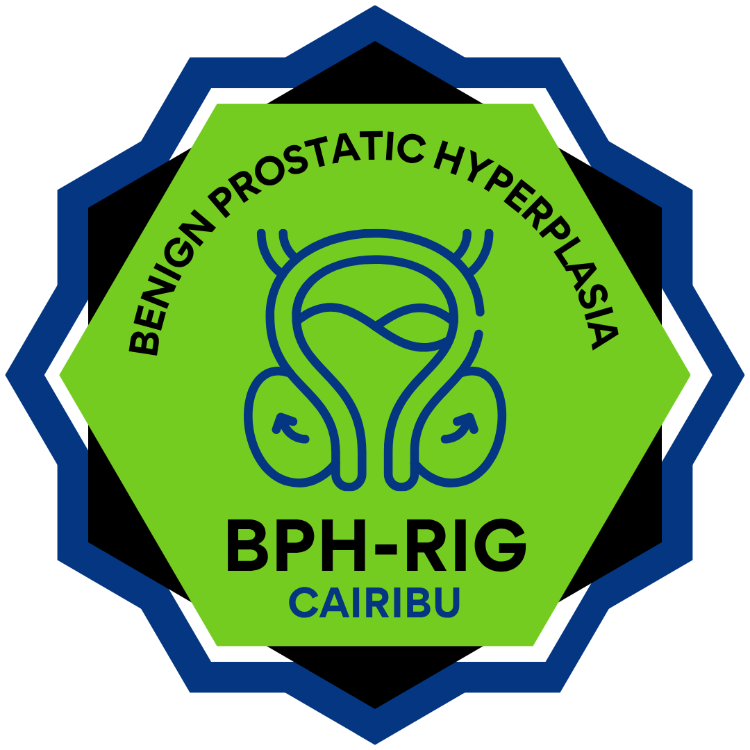 logo for BPH rig