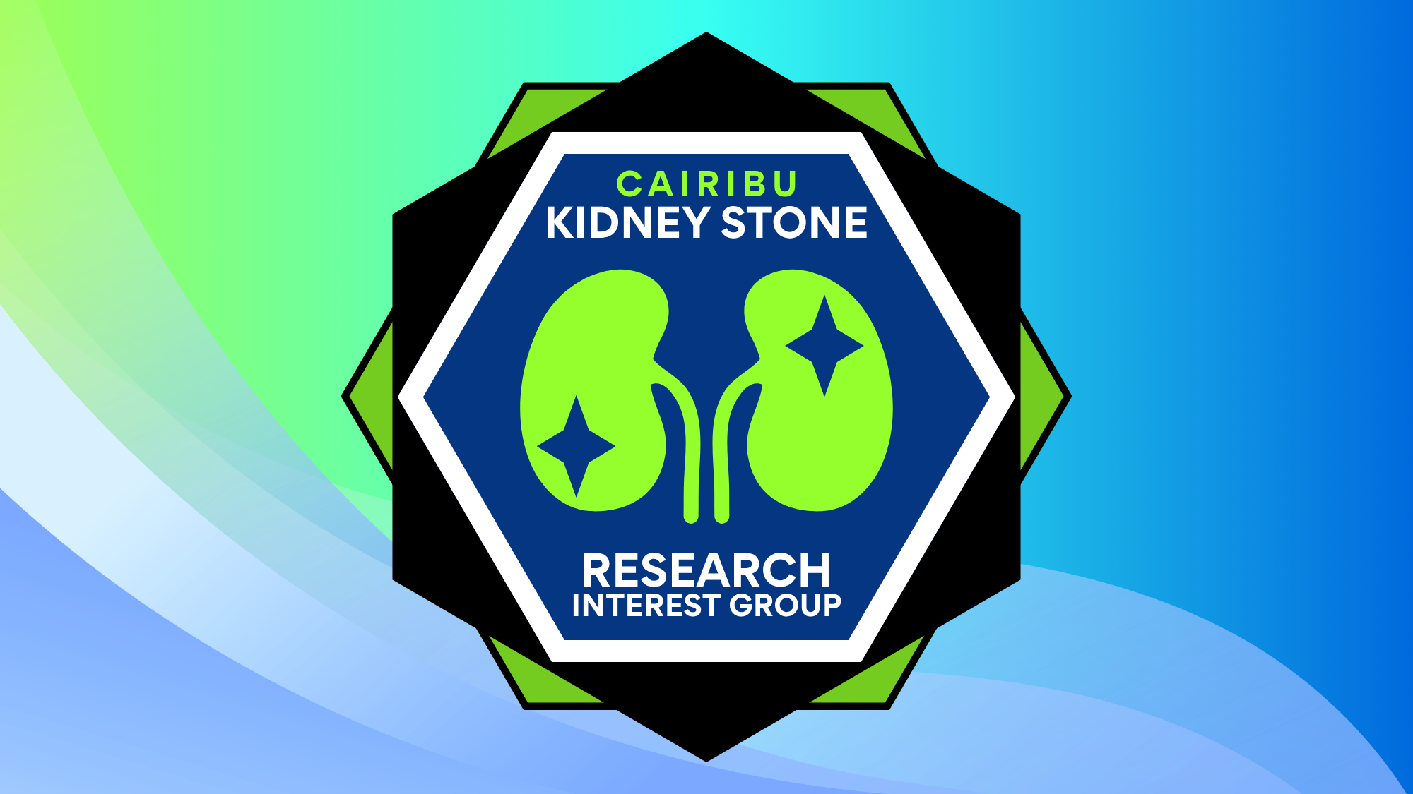 Kidney stone RIG logo