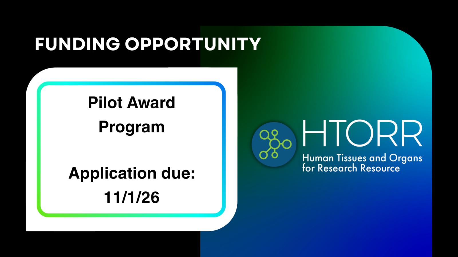 Text reads "Funding Opportunity: Pilot Award Program. Application due: November 1, 2026. Human Tissues and Organs for Research Resource (HTORR) logo."